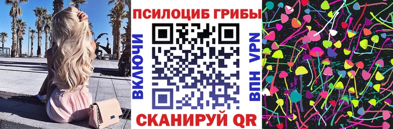 Псилоцибиновые грибы мицелий  мега зеркало  Власиха 