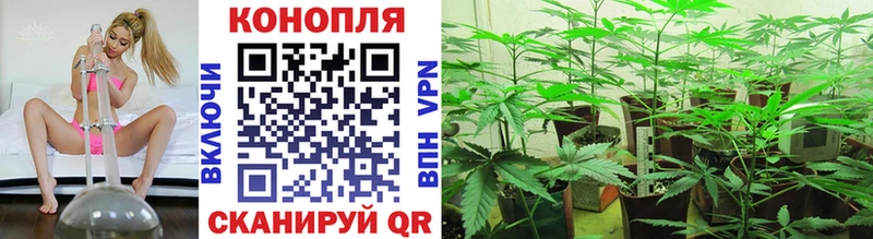 Конопля семена  Власиха 